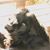Steve Krebs's profile image