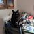Ricki Thompson's profile image