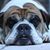 Leann H Norris's profile image