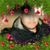 Charly Fraire's profile image