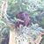 Stevi Lewis Townsend's profile image