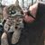 Gina Tkach's profile image