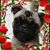 Kimberly Simms's profile image