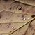 Brenda Royer Hagan's profile image