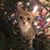 Jeff Crumpton's profile image
