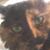 Pamela Fitch's profile image