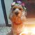 Tali Shalem's profile image