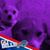 Colleen Brown Ayers's profile image