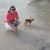 Paula Derflinger's profile image