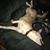 Ryan Bergan's profile image