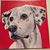 Barbara DePrater Gregory's profile image