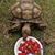 Sondra Carney's profile image