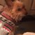 Anna M Burgess's profile image