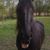 Kristen Beitzel's profile image