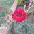 Diana Gonzalez's profile image