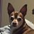 Kathy Repsch Beare's profile image