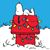 David Cristofani's profile image