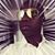 Gabe Biel's profile image