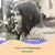 Maria Soledad Laiño's profile image