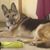 Kat Reynard's profile image