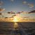 Tammy Campbell Owensby's profile image