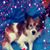 Steve Frio Donofrio's profile image