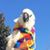 Colleen Mattison's profile image