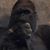 Trey Tittle's profile image