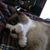 Larry Miller's profile image