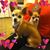 Grace Kourkos's profile image