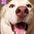 Mary Ruth Wallace's profile image