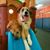 Richard Corso's profile image