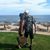 Gayla Limore's profile image
