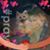 Pam Carman's profile image