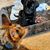 Michelle Davis Kalmes's profile image