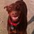 Melisa Lopez-Kerley's profile image