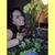 Delilah Bee's profile image