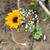 Amy Heidotten's profile image