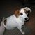 Necie Gleason's profile image