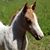 Ashley Anne's profile image