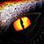 Carol Winkleman's profile image