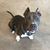 Nancy Hill's profile image
