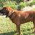 Beverly McCord's profile image