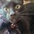 Robin Nilegoddess St John's profile image