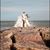 Anita Everett's profile image