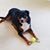 Bonnie Barbier Hale's profile image