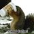 Caren Wagner's profile image
