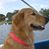 Kim Conway's profile image