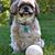 Sandy Arch's profile image