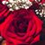 Chastine Wyatt Castro's profile image